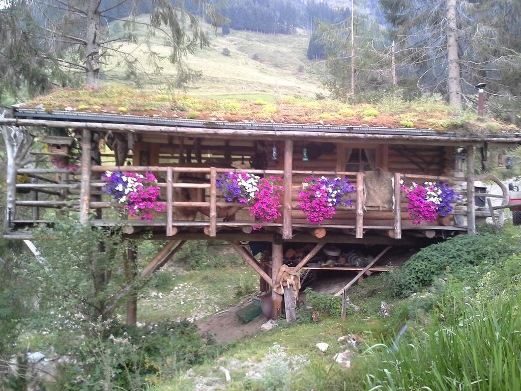 Biobergbauernhof Brandenau Apartamento Taxenbach Exterior foto